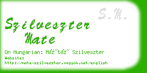 szilveszter mate business card